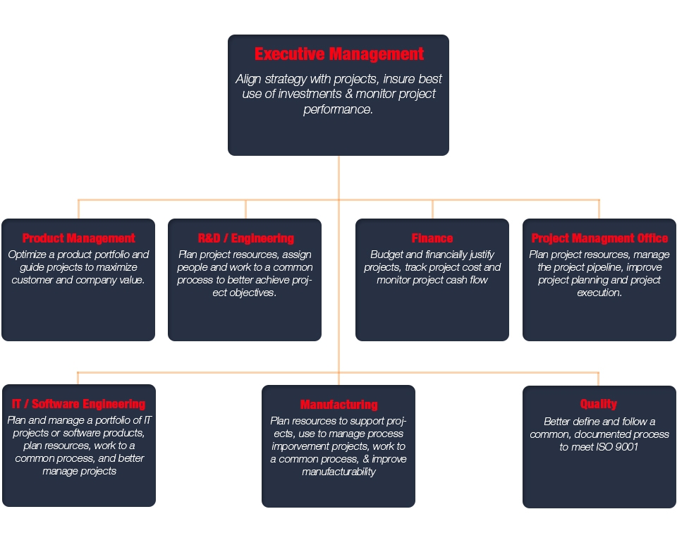 Project Portfolio Management Roles and Responsibilities by Functional Department